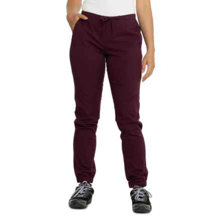 BLACK DIAMOND Notion Pants in Bordeaux