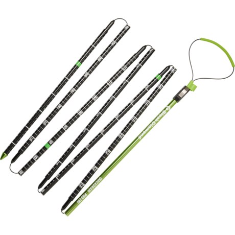 BLACK DIAMOND Quickdraw Pro Avalanche Probe - 280 cm, Aluminum in Multi