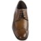 113TX_2 Bostonian Alito Oxford Shoes - Leather, Wingtip (For Men)
