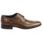 113TX_4 Bostonian Alito Oxford Shoes - Leather, Wingtip (For Men)