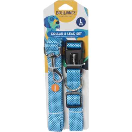 Brilliance Dog Collar and Lead Set - Large in Blue