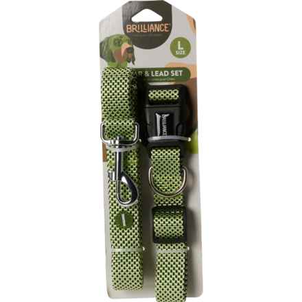 Brilliance Dog Collar and Lead Set - Large in Green