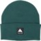 Burton Kactusbunch Tall Beanie (For Men) in Botanical Garden