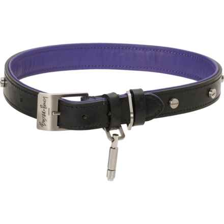 BUSTER + PUNCH Dog Collar - 1”, 22-26” in Black/Purple/Steel