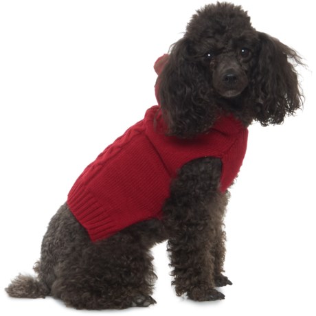 friends forever dog jacket