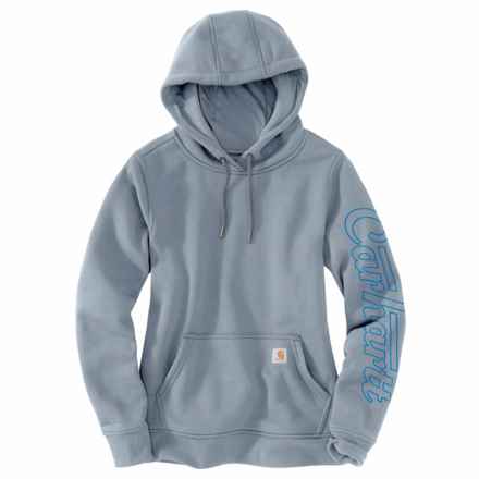 Carhartt 105996 Rain Defender® Relaxed Fit Midweight Sweatshirt - Factory Seconds in Neptune