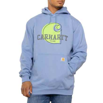 Carhartt 106078 Loose Fit Midweight C Graphic Hoodie - Factory Seconds in Skystone