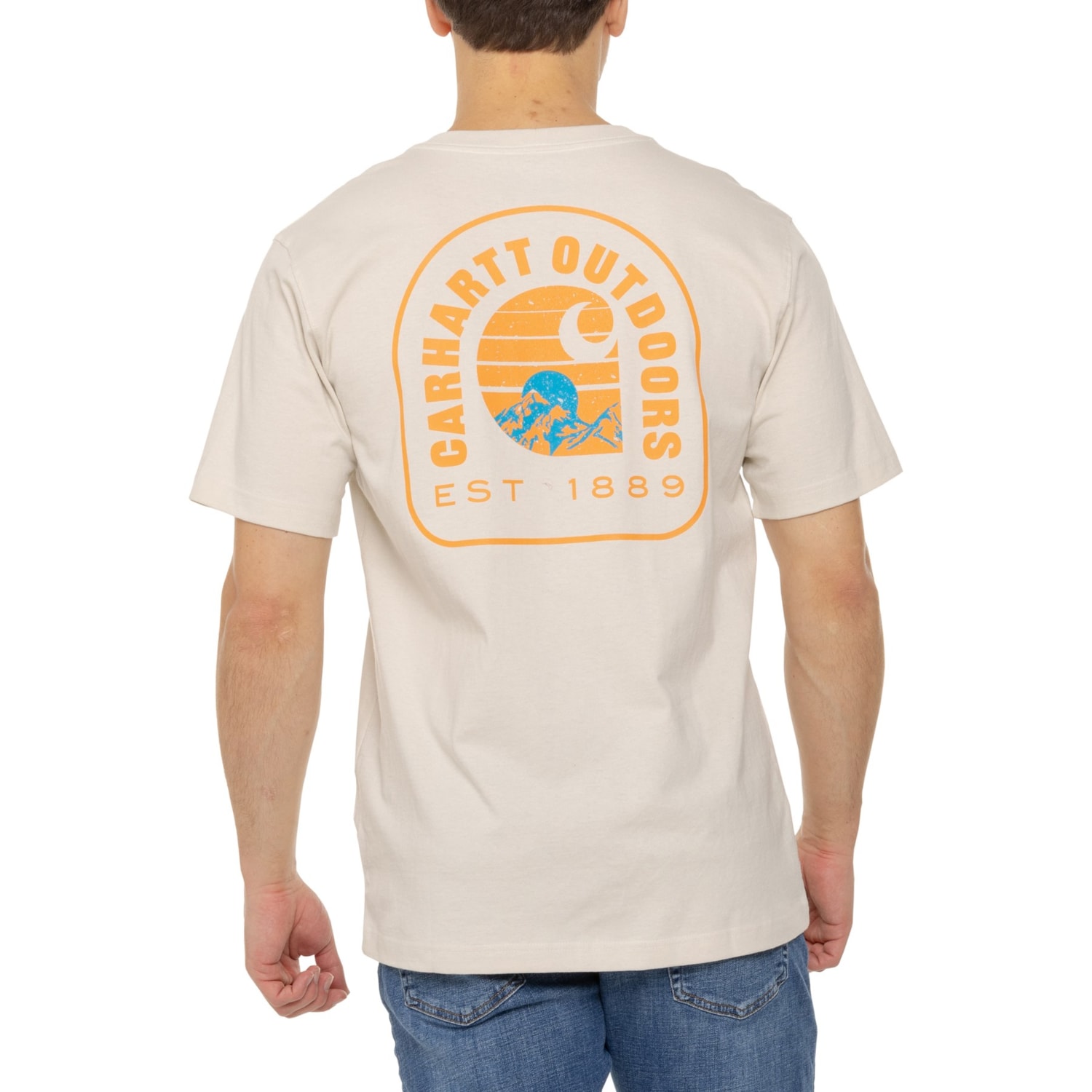 Carhartt 106642 Relaxed Fit Heavyweight Mountain Graphic T-Shirt ...