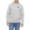 Carhartt 107064 Force® Logo Hoodie - Factory Seconds in Asphalt Heather