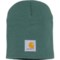 Carhartt A205 Acrylic Knit Beanie - Factory Seconds (For Men) in Sea Pine