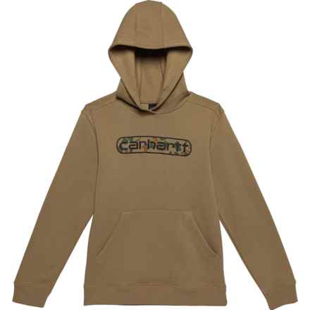 Carhartt Big Boys CA6473 Graphic Hoodie in Beige