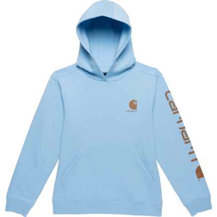 Carhartt Big Boys CA6549 Graphic Hoodie in 451 Sky