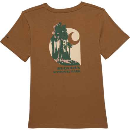 Carhartt Big Boys CA6552 NPF Sequoia T-Shirt - Short Sleeve in Brown