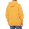6HJAG_2 Carhartt K288 Loose Fit Midweight Logo Sleeve Graphic Hoodie - Factory Seconds