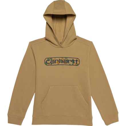 Carhartt Little Boys CA6473 Graphic Hoodie in Beige