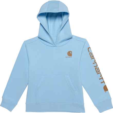 Carhartt Little Boys CA6549 Graphic Hoodie in 451 Sky