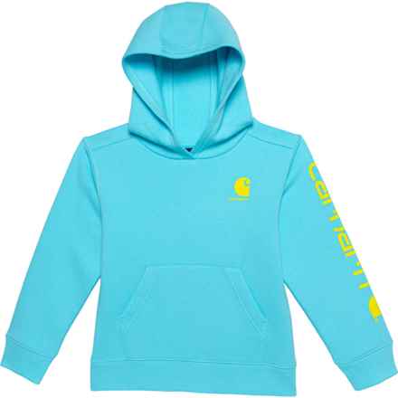 Carhartt Little Boys CA6549 Graphic Hoodie in Blue