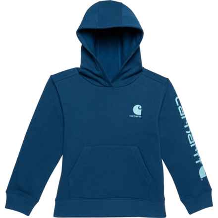 Carhartt Little Boys CA6549 Graphic Hoodie in Navy