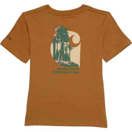 Carhartt Little Boys CA6552 Sequoia National Park Pocket T-Shirt - Short Sleeve in Brown