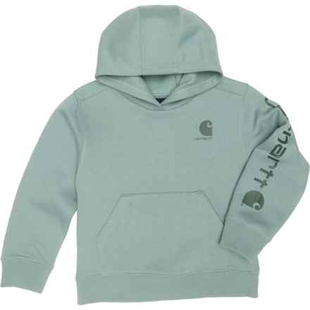 Carhartt Little Boys Graphic Hoodie in Patina