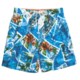 Caribbean Joe Printed Cargo Swim Trunks (For Men)