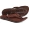 Chaco Classic Flip-Flops - Leather (For Women) in Dark Brown