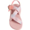 13M4U_2 Chaco Mega Z Classic Sport Sandals (For Women)