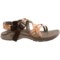 6510H_6 Chaco Updraft X Genweb Sport Sandals (For Women)