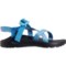 3NRPG_5 Chaco Z1 Classic Sandals (For Women)