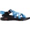 3NRRR_2 Chaco Z2 Classic Sport Sandals (For Women)