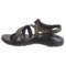 266PP_5 Chaco Z2 Colorado Sport Sandals (For Men)