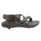 161PX_4 Chaco Z/Cloud Sport Sandals (For Men)