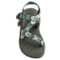 288RK_2 Chaco Z/Cloud Sport Sandals (For Women)