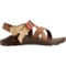 136G7_3 Chaco ZCloud Sport Sandals (For Men)