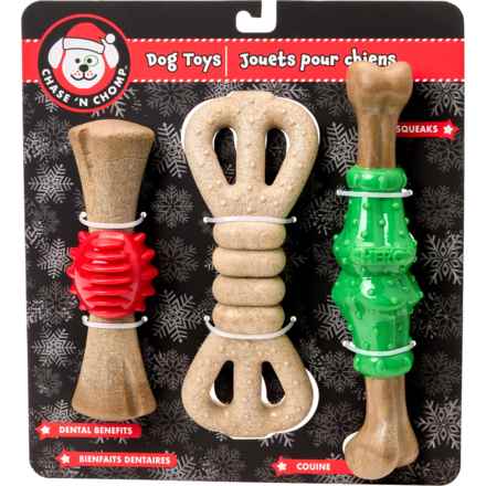 Chase 'N Chomp Dental Nylon Bone Dog Toys - 3-Pack in Multi