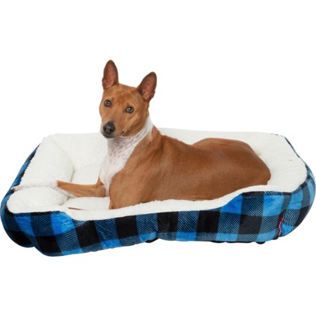 coleman dog bed