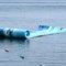 450PR_4 Chill Lake & Pool Drifter Dolphin Island Water Mat - 18x6’