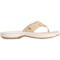 7MCDF_4 Clarks Breeze Sea Cloudstepper Flip-Flops (For Women)