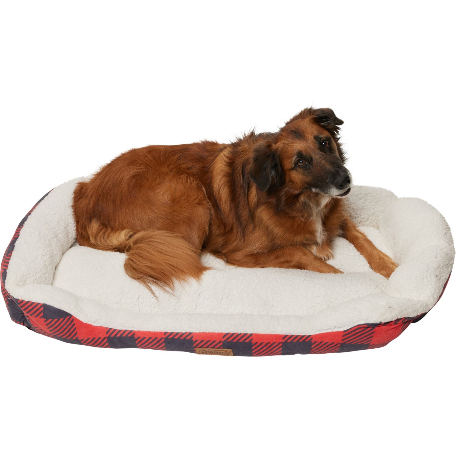 Coleman dog bed hotsell