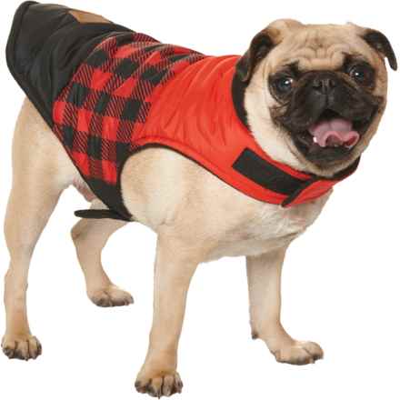Coleman Buffalo Check Puffer Dog Jacket - Reversible in Red/Black