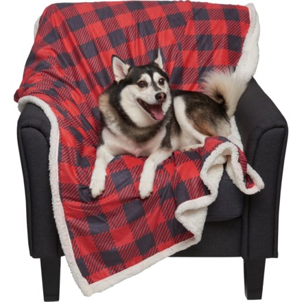 https://i.stpost.com/coleman-buffalo-check-reversible-pet-throw-blanket-50x60-in-red-blk~p~2mggu_01~440.2.jpg/