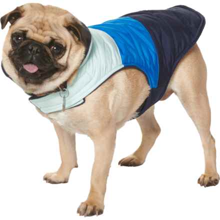 Coleman Chevron Puffer Dog Jacket - Reversible in Blue