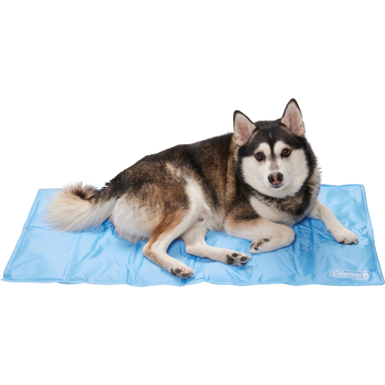 Coleman Cooling Pet Mat Medium, 20x36” Save 31