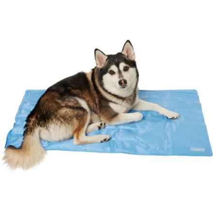 Coleman Cooling Pet Mat -  Medium, 20x36” in Blue