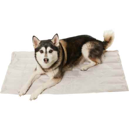 Coleman Cooling Pet Mat -  Medium, 20x36” in Grey
