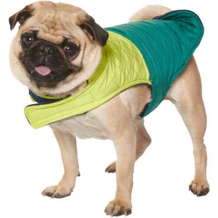 Coleman Diamond Quilt Puffer Dog Jacket - Reversible in Teal