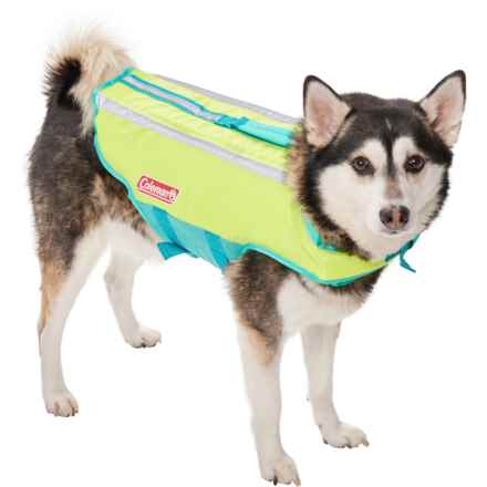 Coleman Dog Life Jacket in Lime/Aqua