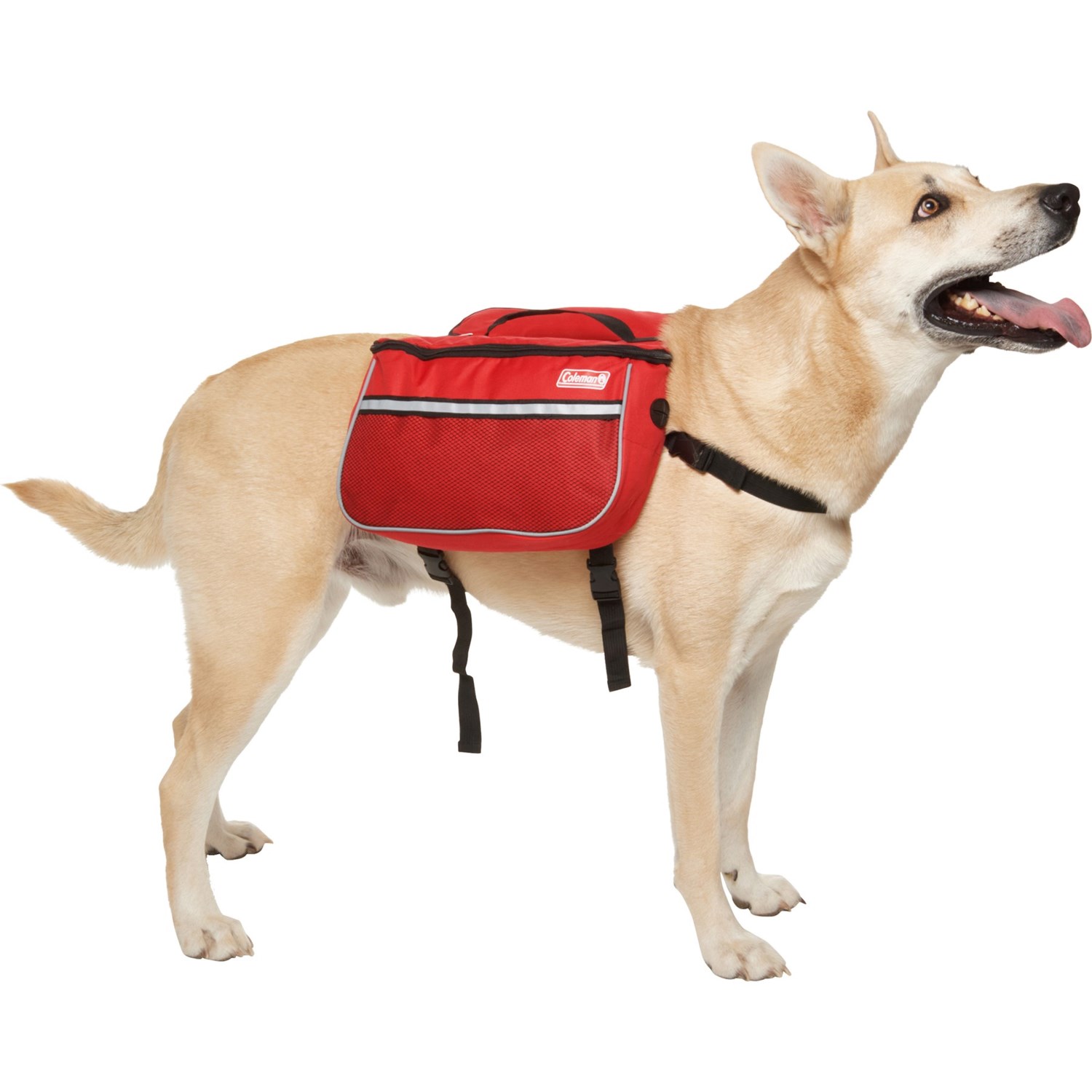 Coleman Dog Pack - Large - Save 32%