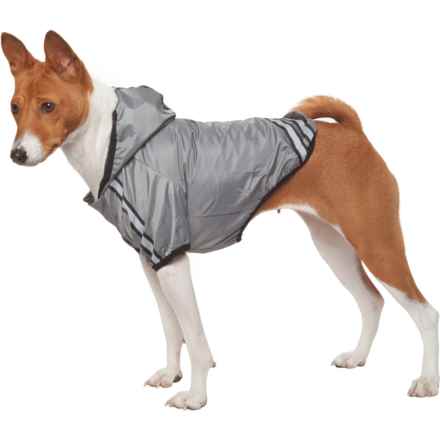 Dog Raincoat average savings of 33% at Sierra