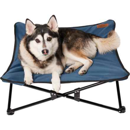Coleman Elevated Stadium Pet Cot - 28x28x9.5” in Navy